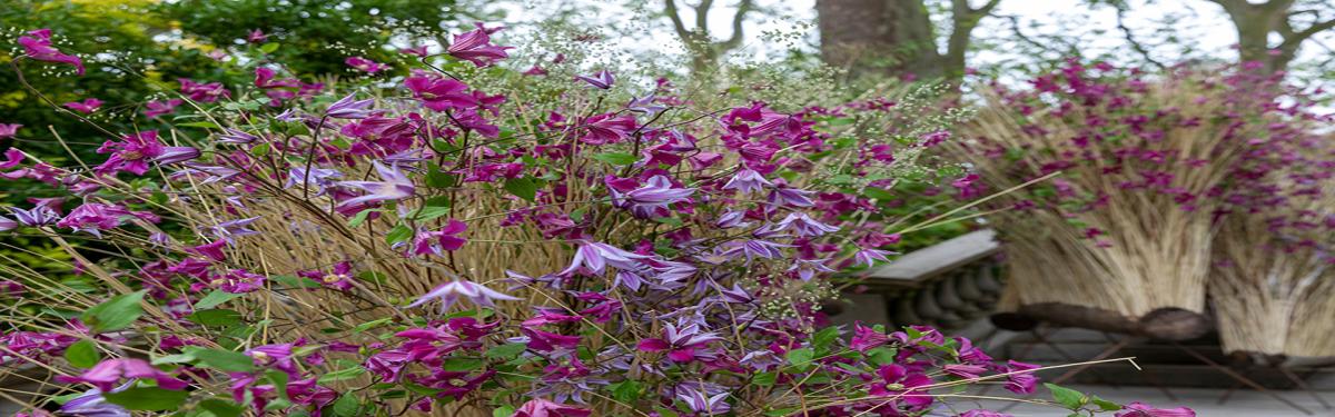 Expositions Florales et Horticoles