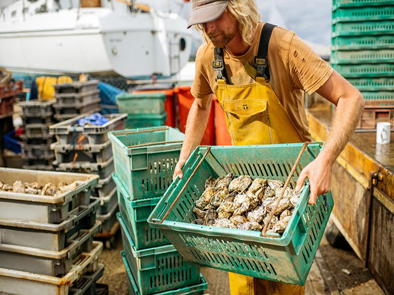Circuits 5 Jours les Jardins et la Gastronomie du Sud-Est De L'Angleterre