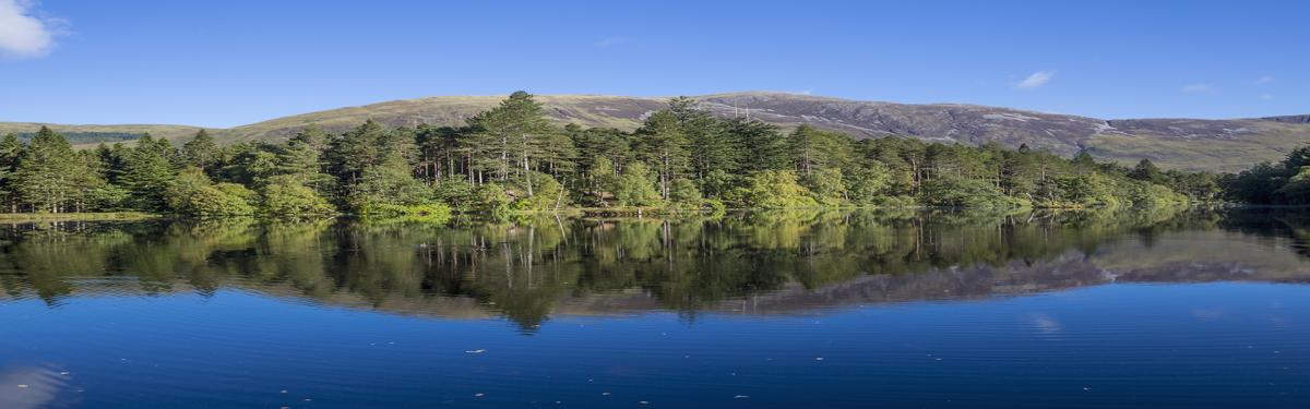 Circuit de 12 Jours en Angleterre et en Écosse