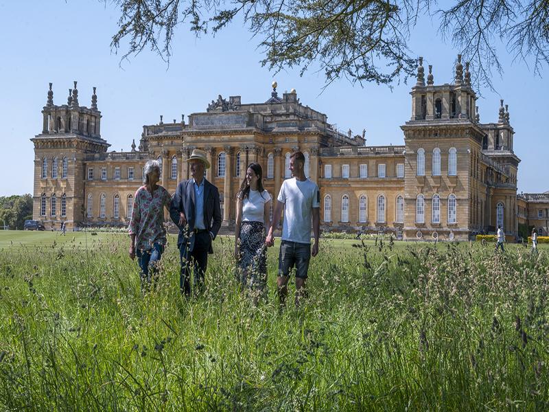 Circuit Palais de Blenheim et d’Oxford pour les groupes