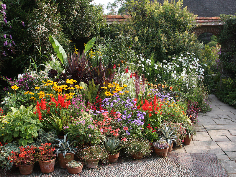 Visite Guidée des Jardins du Sud-Est de L'Angleterre