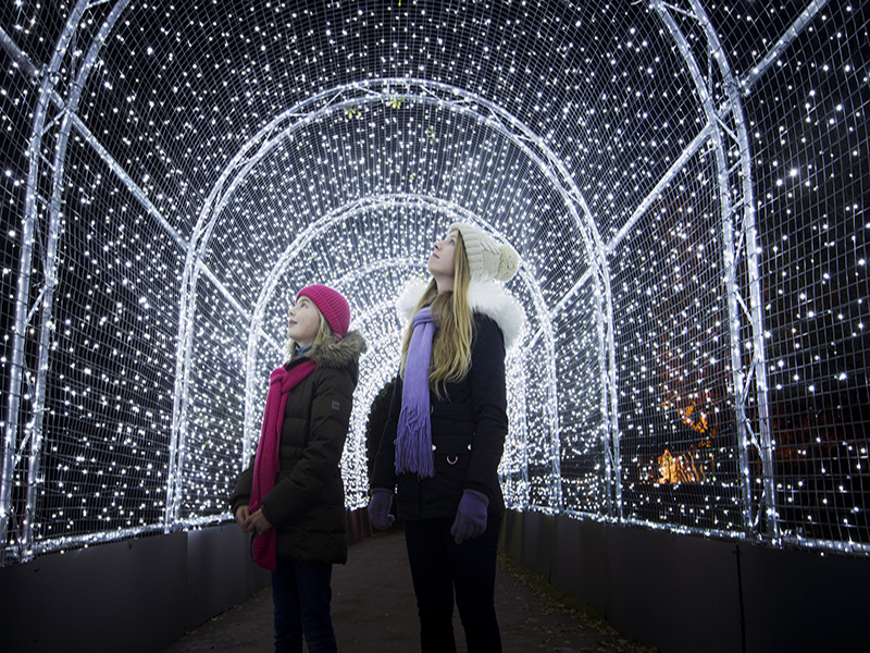 Illuminations de Noël et Sentiers Lumineux